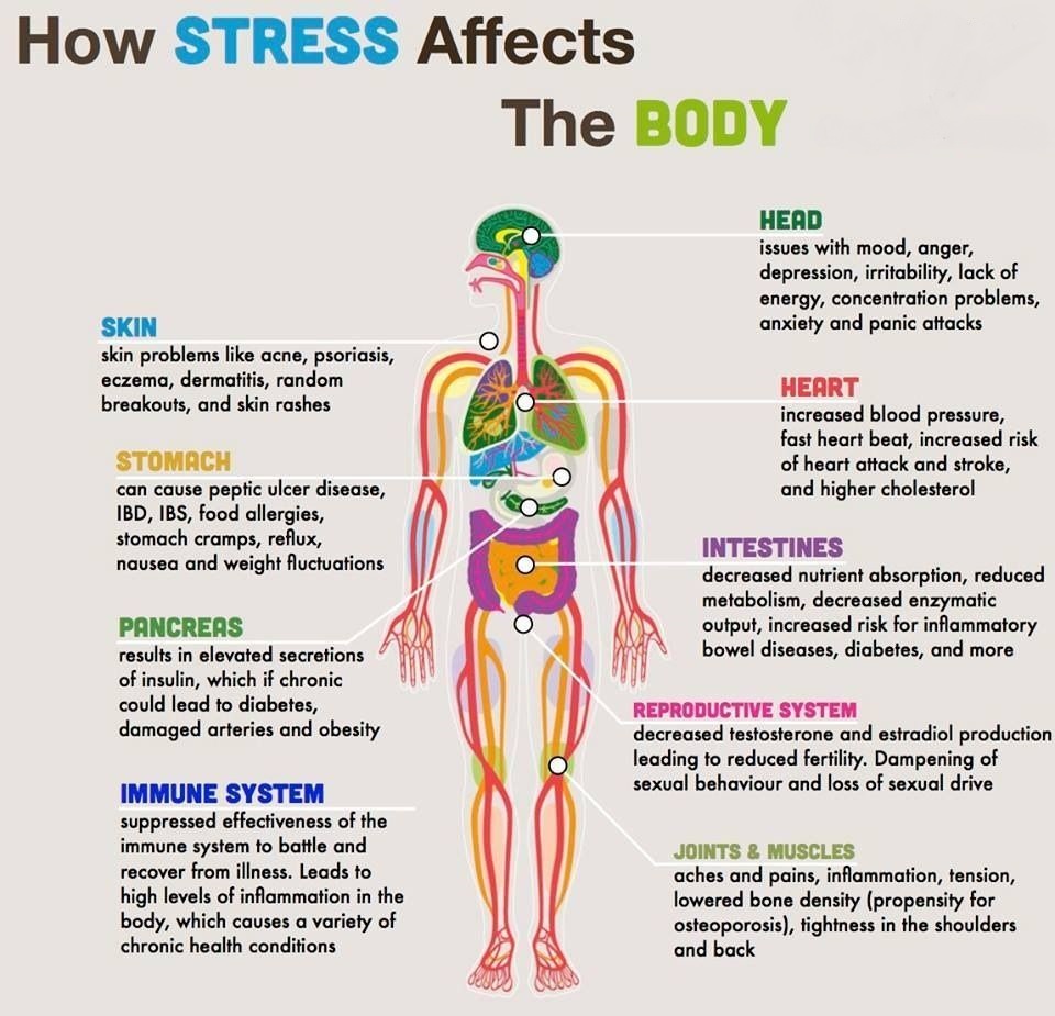 stress-affects-body